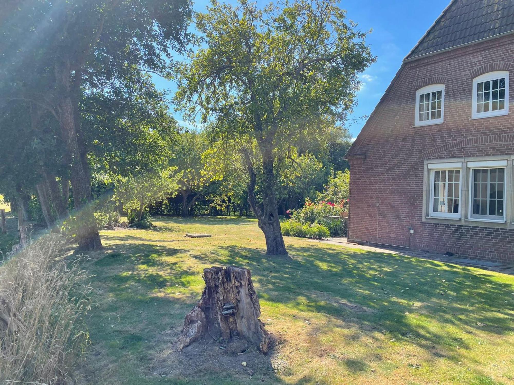 Hedwigenkoog Pension Nordwind المظهر الخارجي الصورة